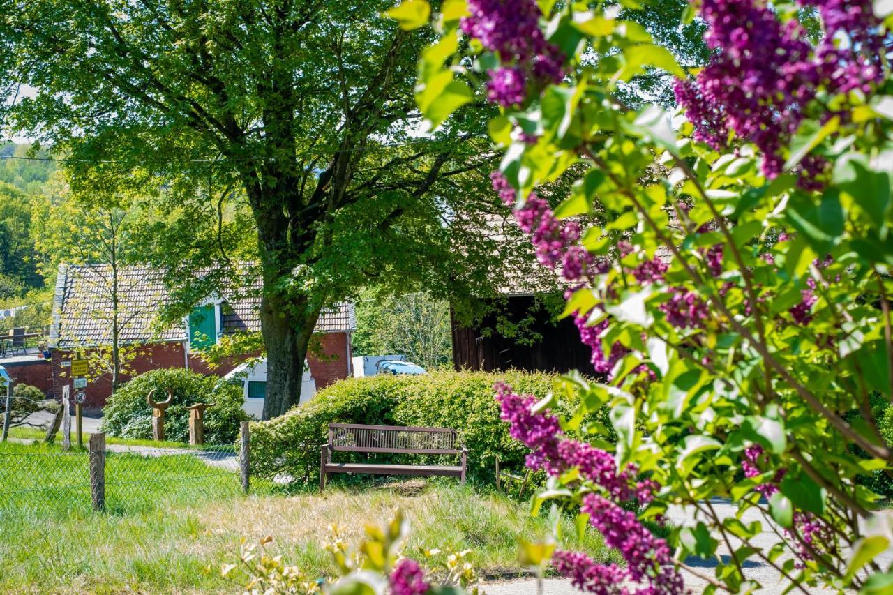 Cruwzo I Apartment With Garden Elberfeld Wuppertal Buitenkant foto